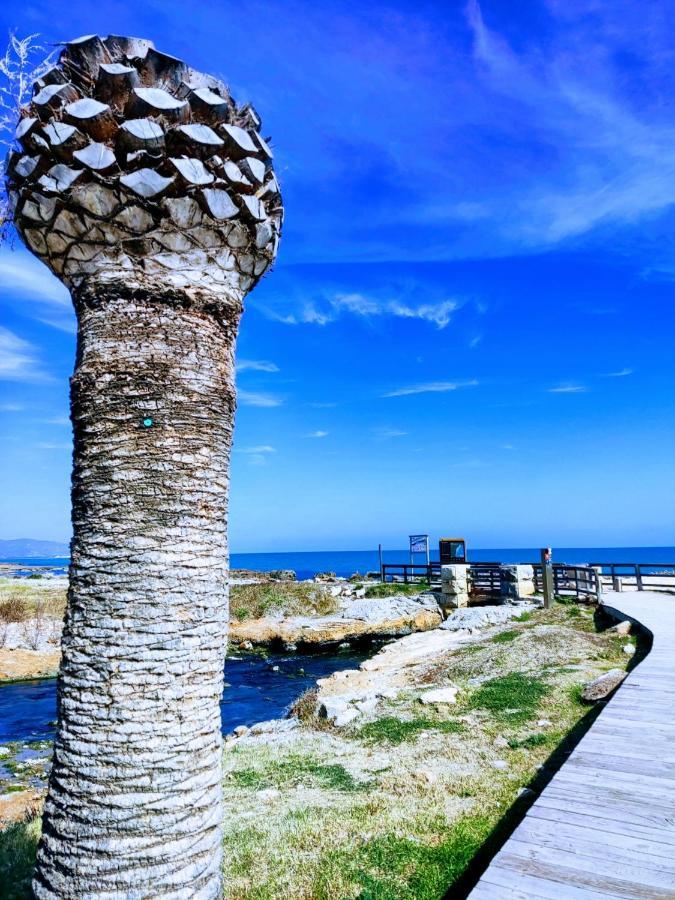 Apartamento Acogedor En Cabanes, Torre La Sal, Costamar I Marina D'Or Venta de San Antonio-Estacion Экстерьер фото